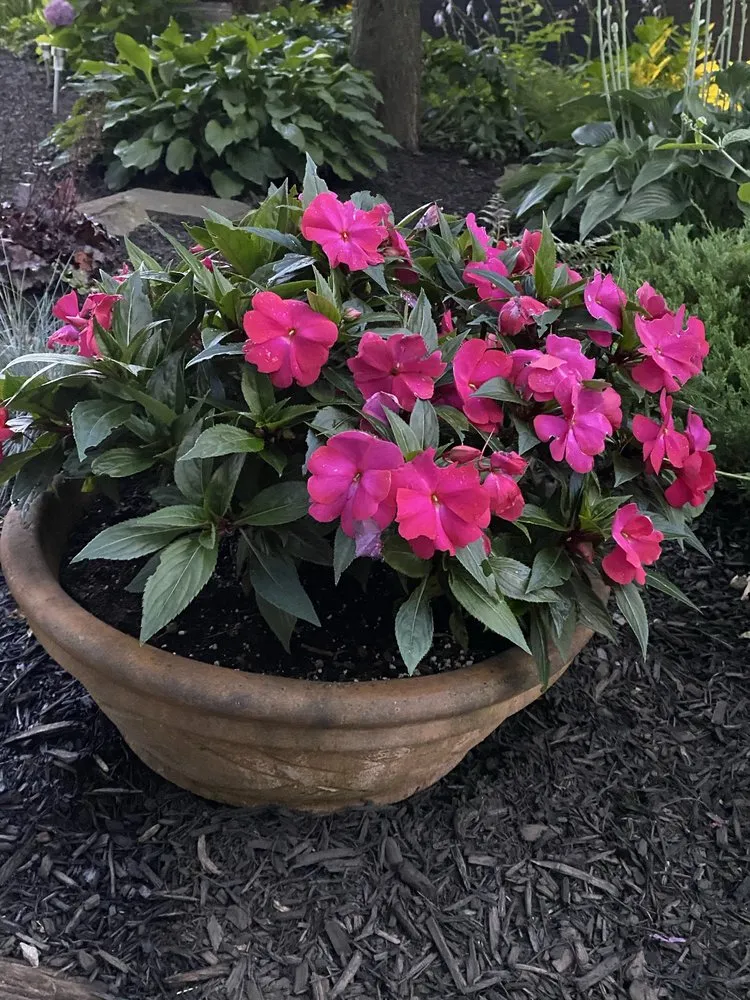 Custom landscaping services in Beaver Falls, PA by Thomas & Co Lawncare