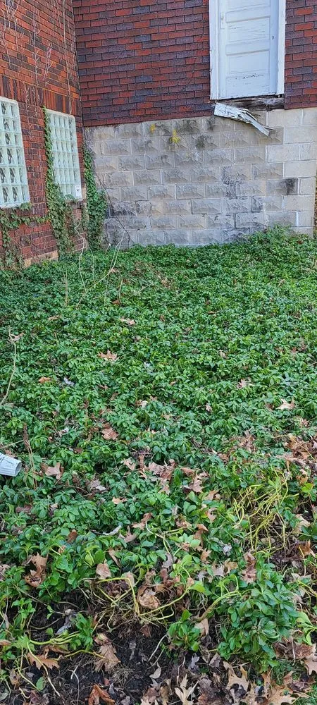 Local outdoor landscaping experts serving Beaver Falls, PA - Thomas & Co Lawncare