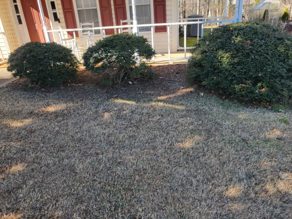 Top-rated outdoor landscaping for beautiful yards in Lilburn, GA by Thomas Affordable Lawn Care