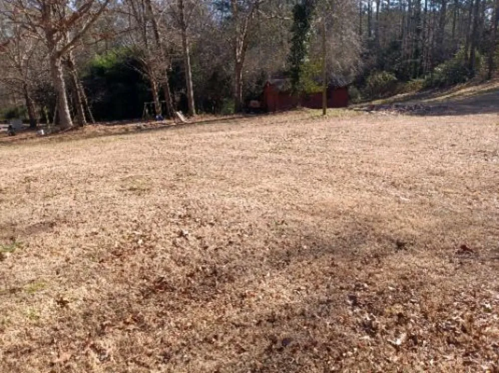 Expert residential landscaping experts serving Lilburn, GA - Thomas Affordable Lawn Care