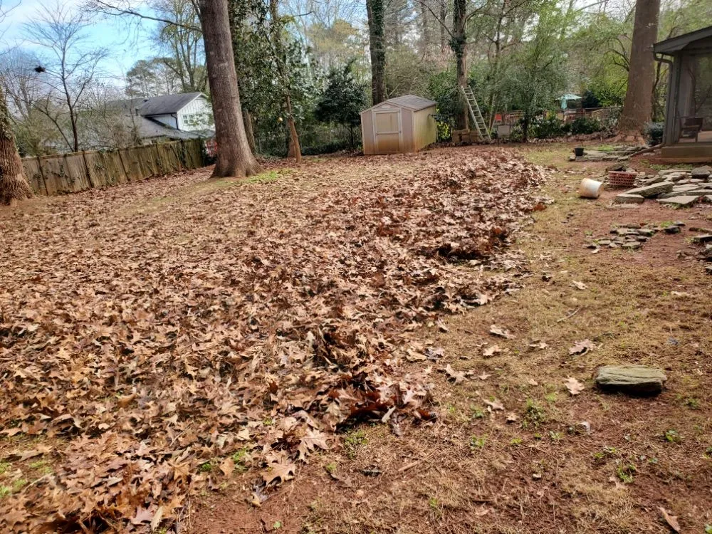 Professional yard cleanup service experts serving Lilburn, GA - Thomas Affordable Lawn Care