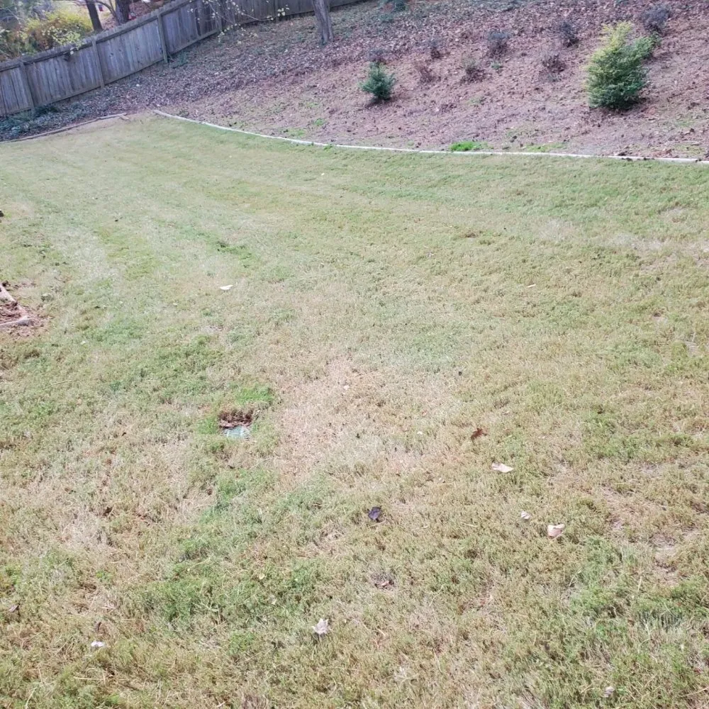Trusted garden landscaping in Lilburn, GA by Thomas Affordable Lawn Care