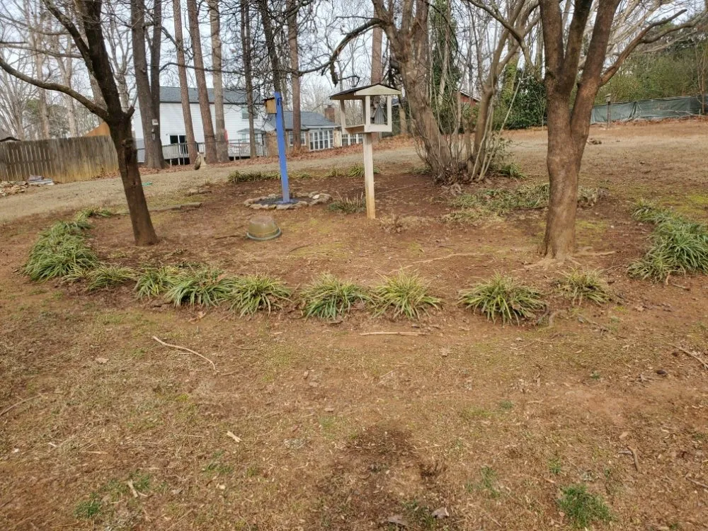 Professional lawn mowing service experts serving Lilburn, GA - Thomas Affordable Lawn Care