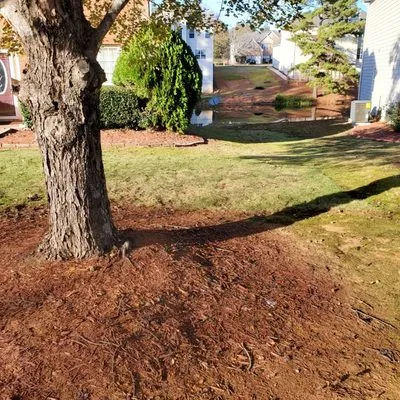 Thomas Affordable Lawn Care Logo