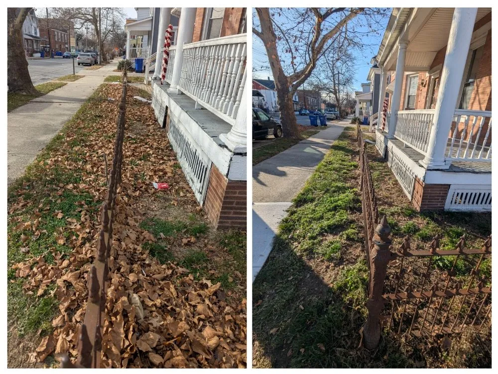 Local yard maintenance for residential properties across Marlton, NJ - Thomas and Son Landscaping