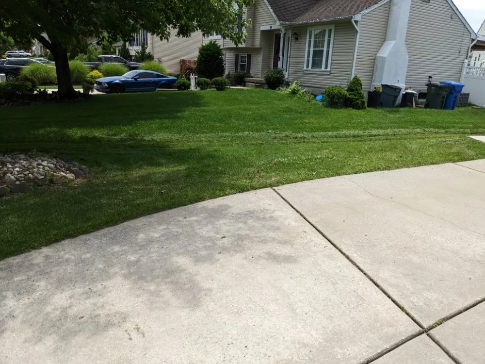 Reliable yard maintenance in Marlton, NJ by Thomas and Son Landscaping