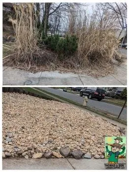 Affordable residential landscaping in Marlton, NJ - Thomas and Son Landscaping