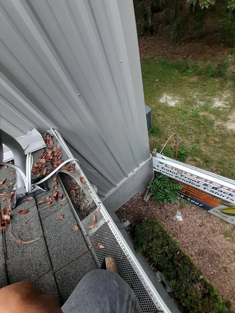 Reliable lawn care service for homes in Miami, FL by Thomas and Sons Tree & Landworx