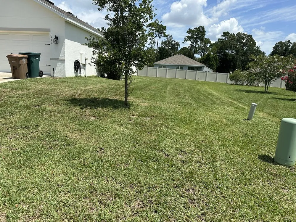 Affordable outdoor landscaping experts serving Miami, FL - Thomas and Sons Tree & Landworx