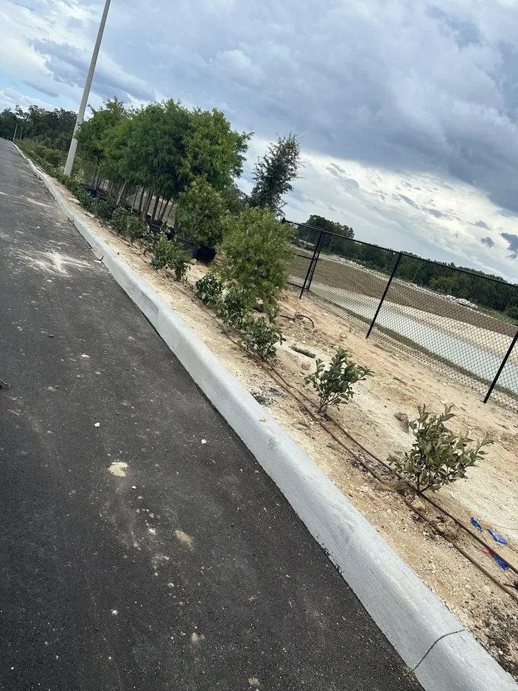 Affordable landscaping services experts serving Miami, FL - Thomas and Sons Tree & Landworx