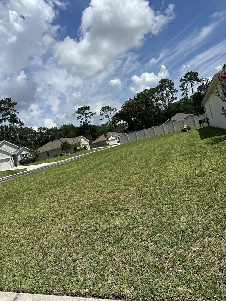 Expert landscape installation near you in Miami, FL by Thomas and Sons Tree & Landworx