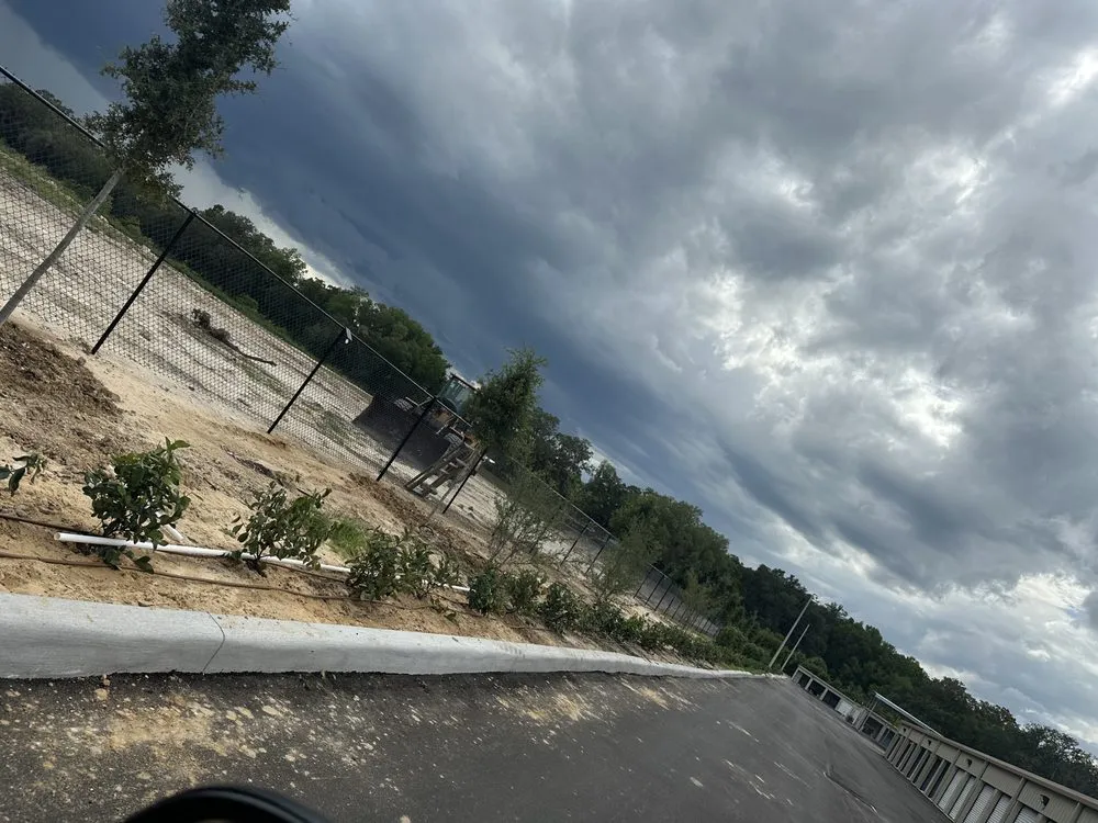 Custom residential landscaping experts serving Miami, FL - Thomas and Sons Tree & Landworx