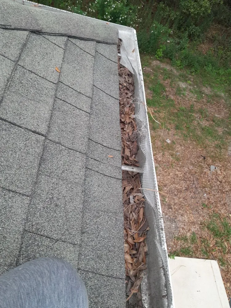 Affordable landscape installation in Miami, FL - Thomas and Sons Tree & Landworx