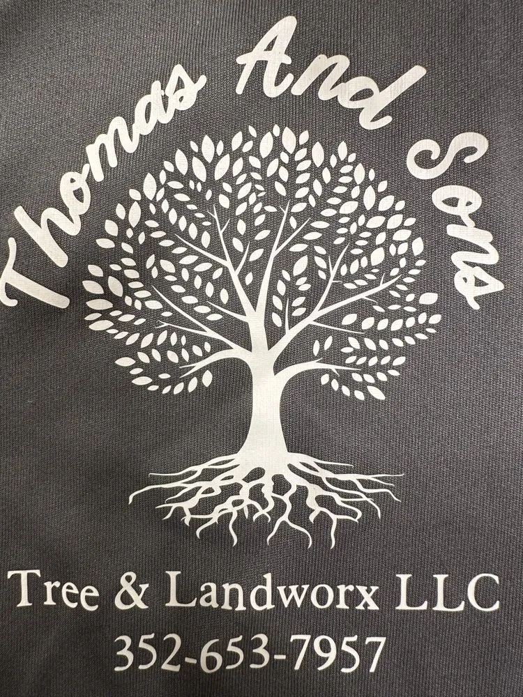 Trusted yard cleanup service for outdoor upgrades across Miami, FL - Thomas and Sons Tree & Landworx