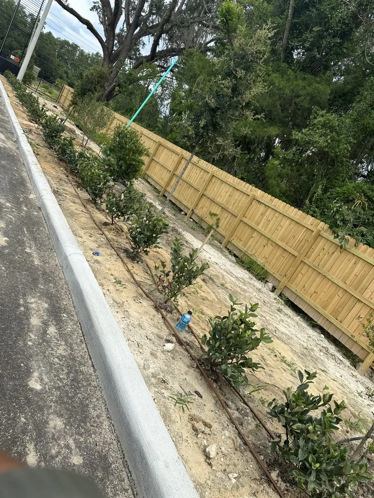Trusted residential landscaping in Miami, FL by Thomas and Sons Tree & Landworx
