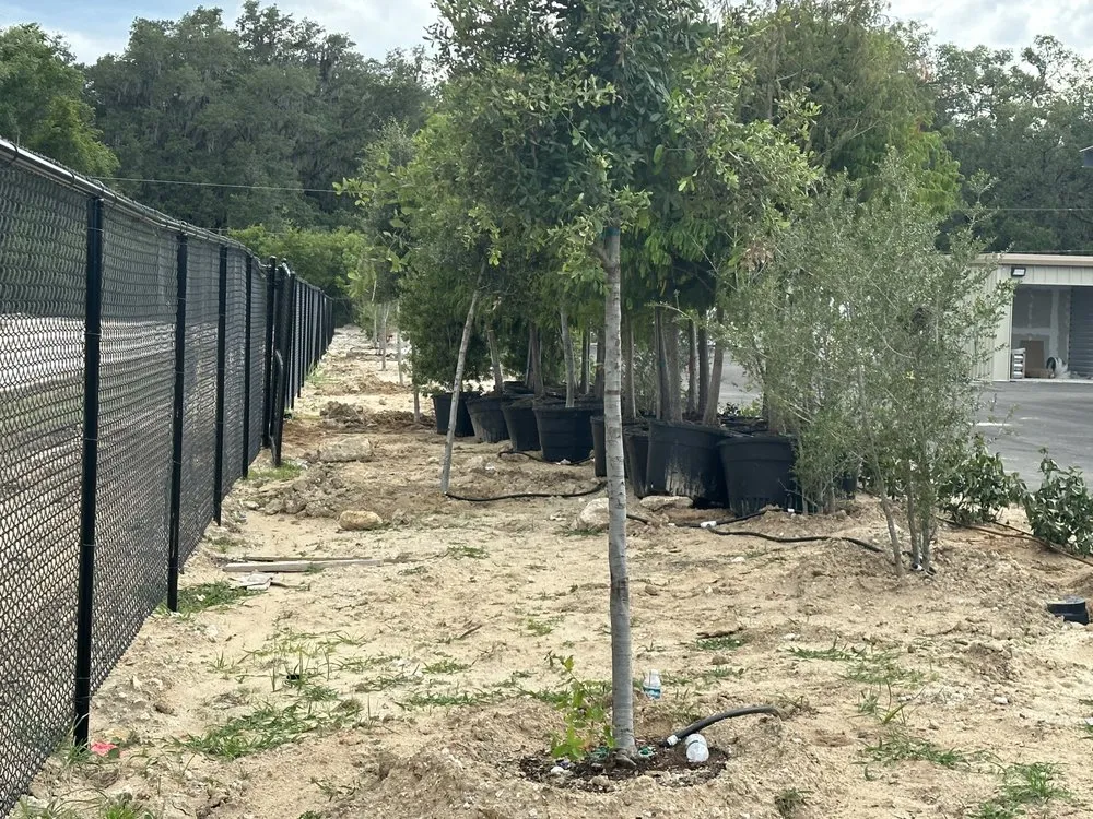 Affordable landscape installation in Miami, FL by Thomas and Sons Tree & Landworx