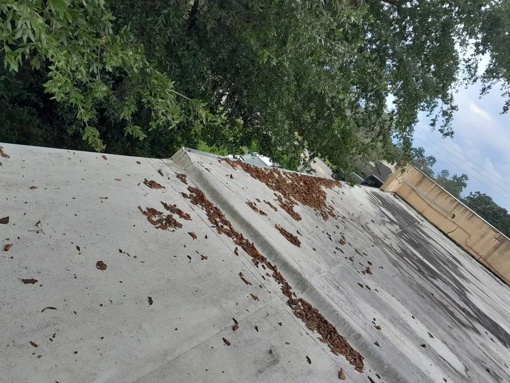 Affordable lawn mowing service in Miami, FL - Thomas and Sons Tree & Landworx