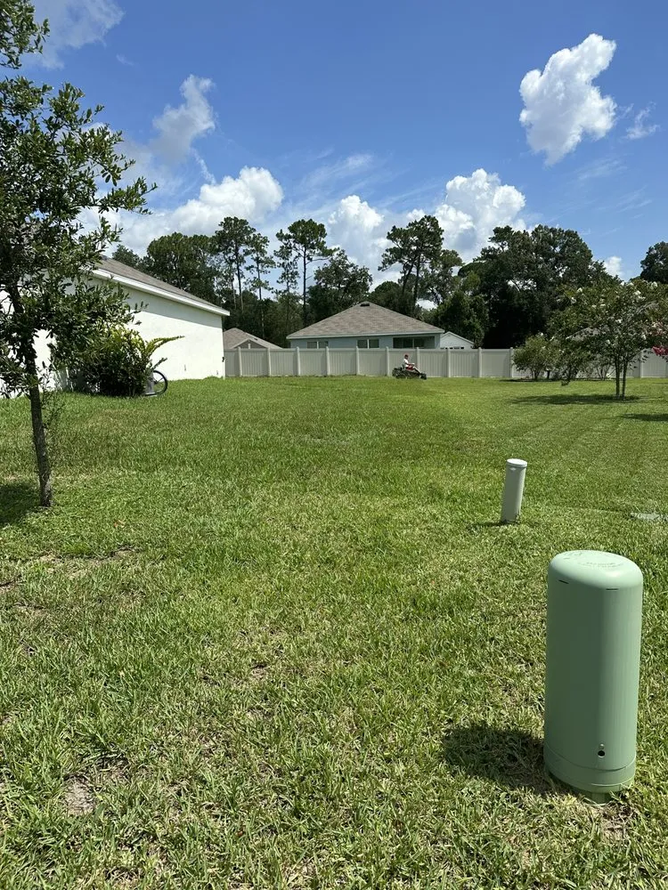 Professional residential landscaping for year-round maintenance in Miami, FL by Thomas and Sons Tree & Landworx