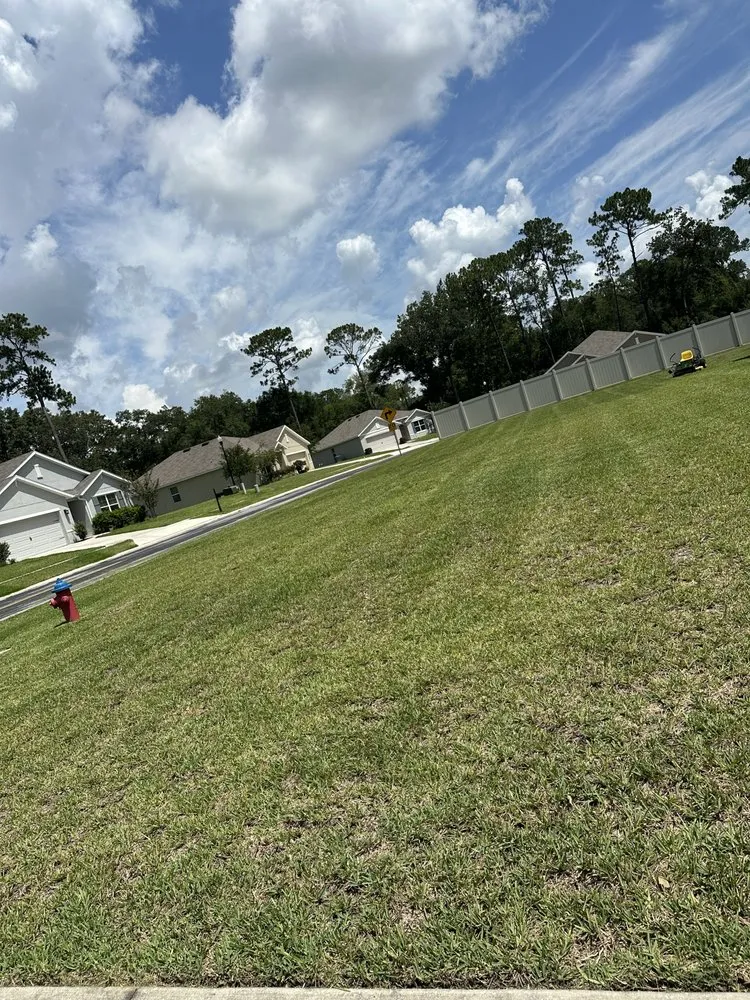 Reliable yard maintenance in Miami, FL by Thomas and Sons Tree & Landworx