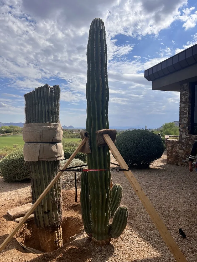 Expert garden landscaping experts serving Phoenix, AZ - Thomas Cary Design