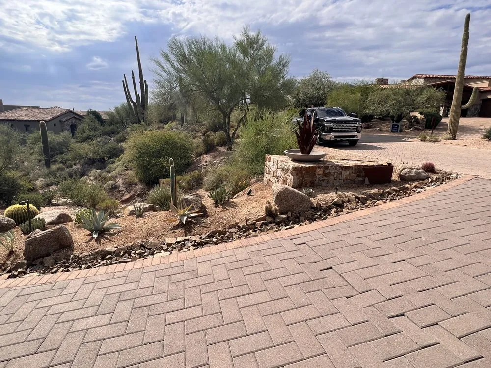 Custom yard maintenance for year-round maintenance across Phoenix, AZ - Thomas Cary Design