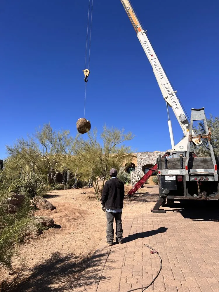 Top-rated landscape installation in Phoenix, AZ - Thomas Cary Design