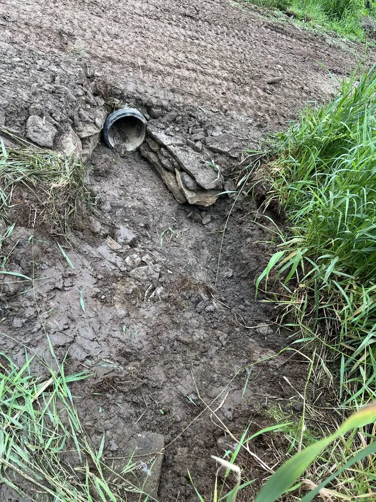 Affordable lawn care service experts serving Forest City, PA - Thomas Construction