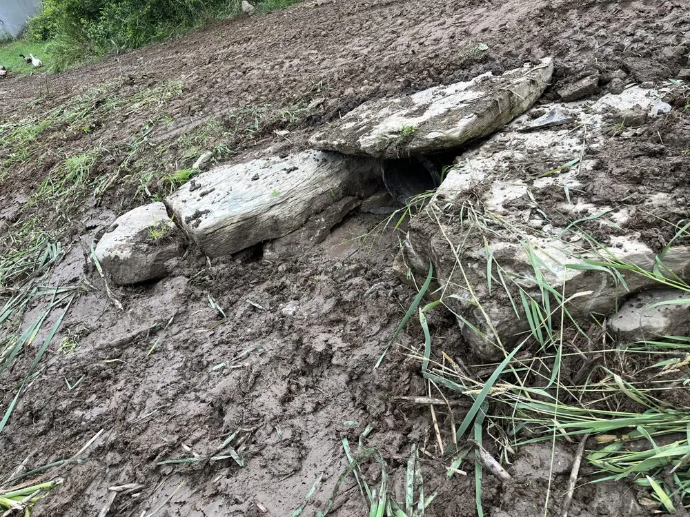 Professional yard cleanup service in Forest City, PA - Thomas Construction