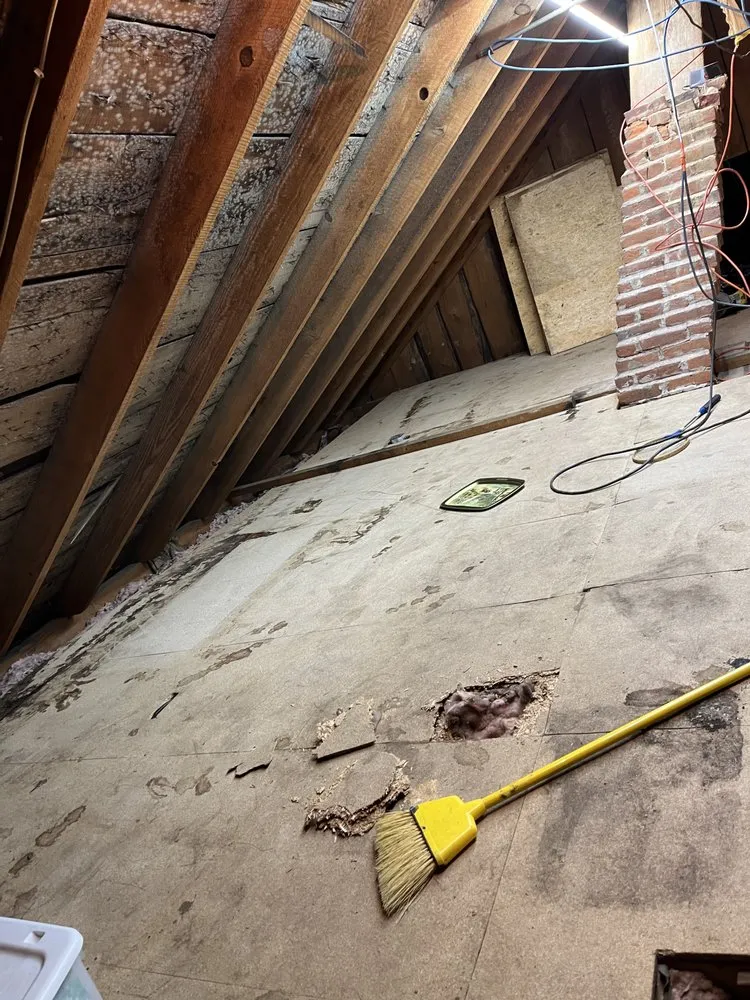 Custom lawn mowing service in Forest City, PA by Thomas Construction