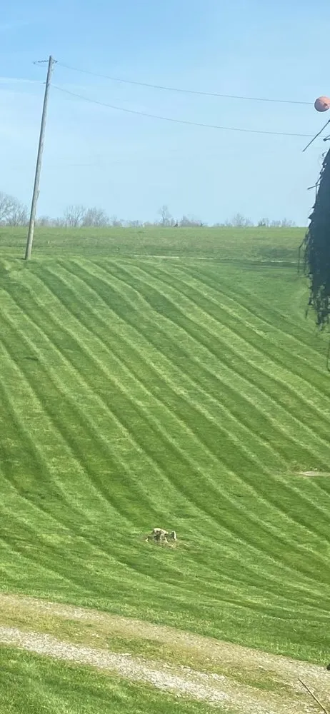 Trusted landscape design for year-round maintenance across New Albany, IN - Thomas Davis Lawn Care