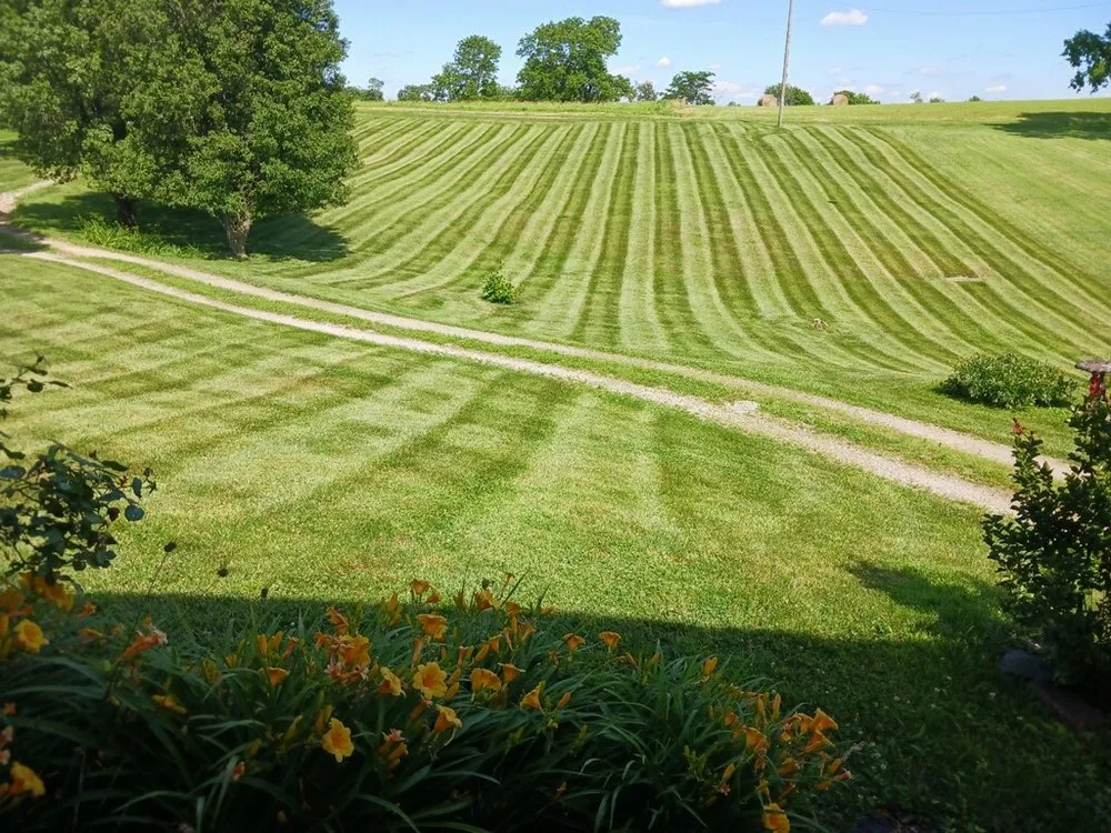 Expert landscape installation in New Albany, IN by Thomas Davis Lawn Care
