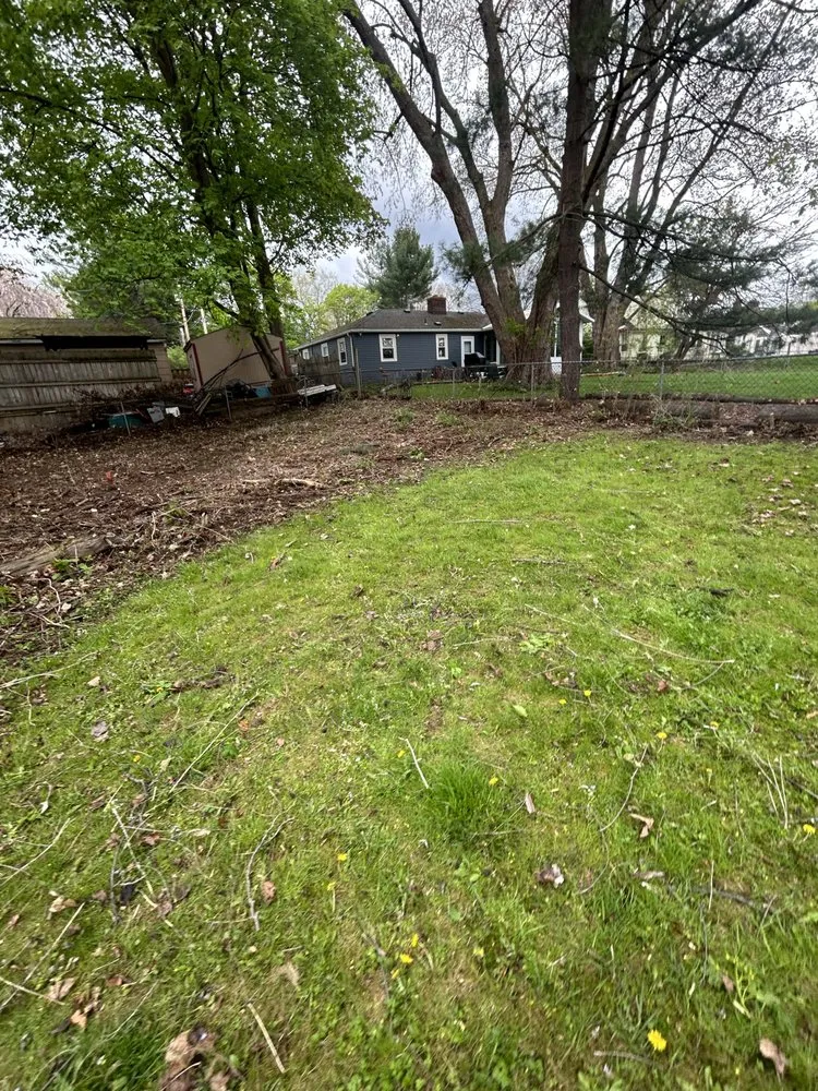 Professional yard cleanup service for beautiful yards in Westgate, NY by Thomas D’Hondt