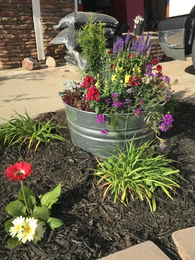 Expert lawn care service experts serving Clayton, NC - Thomas Family Landscaping