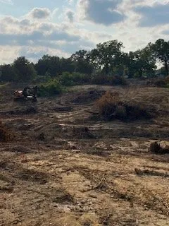 Custom landscape installation experts serving Lexington, NC - Thomas Grading and Clearing