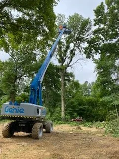 Custom garden landscaping for homes in Lexington, NC by Thomas Grading and Clearing