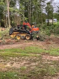 Professional yard cleanup service experts serving Lexington, NC - Thomas Grading and Clearing