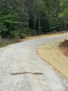 Affordable landscape installation experts serving Lexington, NC - Thomas Grading and Clearing