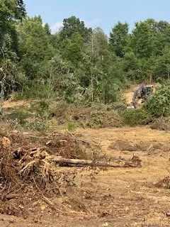 Local residential landscaping in Lexington, NC - Thomas Grading and Clearing