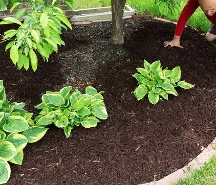 Affordable lawn care service for homes in Plainville, CT by Thomas-Hill Lawncare & Landscaping