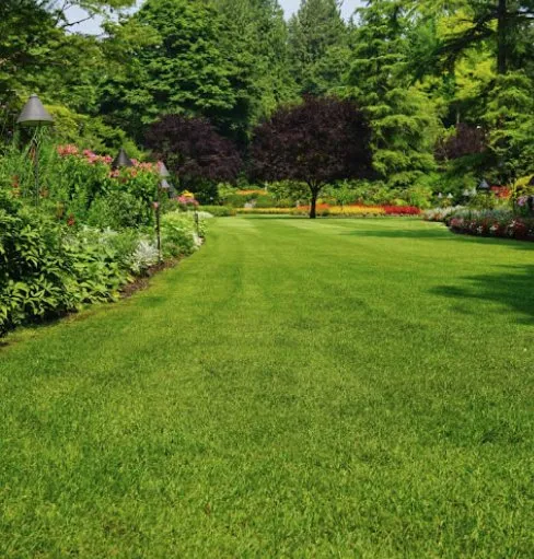 Reliable residential landscaping for outdoor upgrades across Plainville, CT - Thomas-Hill Lawncare & Landscaping