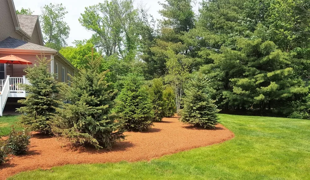 Trusted yard maintenance in Plainville, CT - Thomas-Hill Lawncare & Landscaping