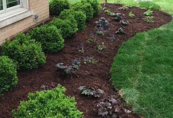 Reliable residential landscaping with custom design across Plainville, CT - Thomas-Hill Lawncare & Landscaping