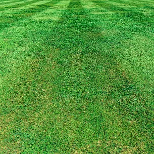 Professional yard maintenance in Plainville, CT by Thomas-Hill Lawncare & Landscaping