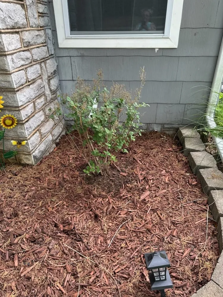 Trusted lawn mowing service for outdoor upgrades across Harrison, AR - Thomas' Honey Do