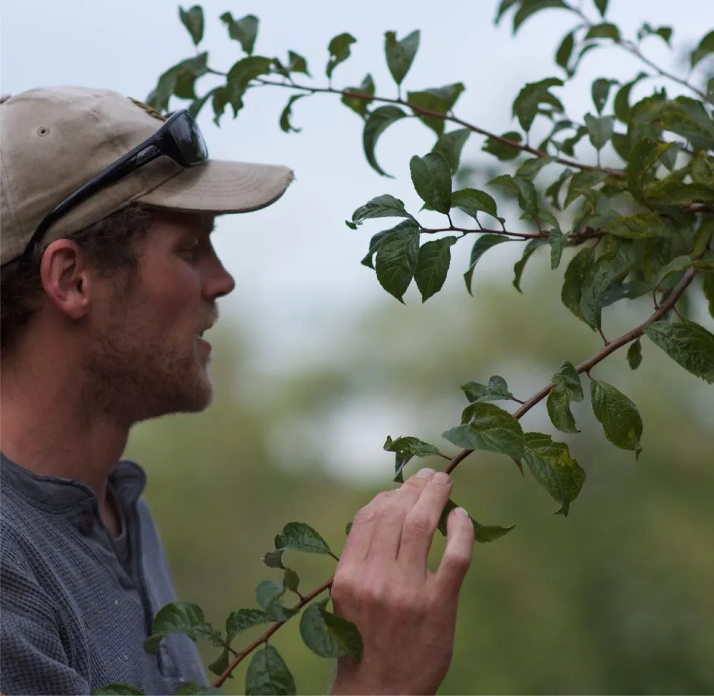 Expert outdoor landscaping for outdoor upgrades across North Bend, WA - Thomas J Tree & Garden Care