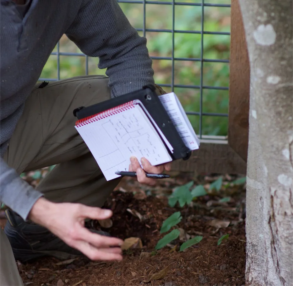 Top-rated landscape installation experts serving North Bend, WA - Thomas J Tree & Garden Care