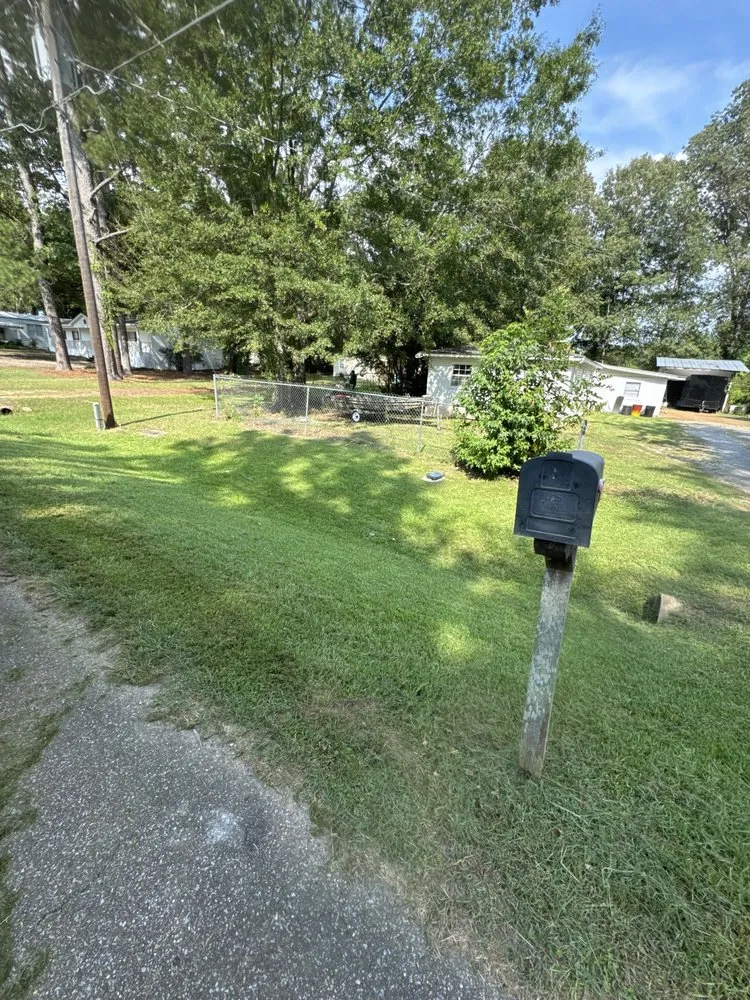 Expert lawn care service for outdoor upgrades across Brandon, MS - Thomas Land Management Services