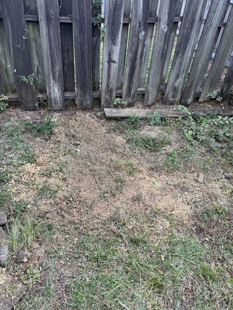 Expert lawn mowing service experts serving Brandon, MS - Thomas Land Management Services