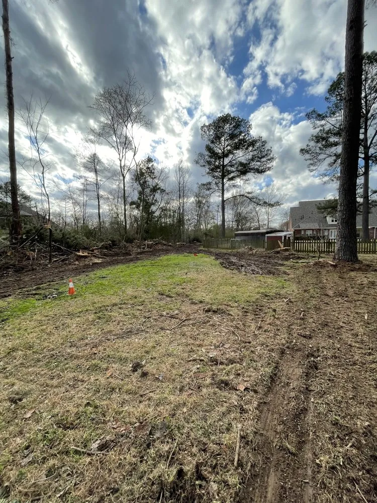 Expert lawn care service in Brandon, MS - Thomas Land Management Services