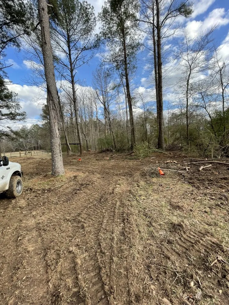 Top-rated yard cleanup service in Brandon, MS by Thomas Land Management Services